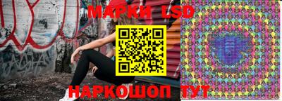 МДПВ Новокубанск