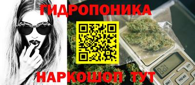 МДПВ Новокубанск