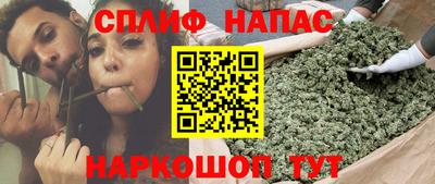 МДПВ Новокубанск
