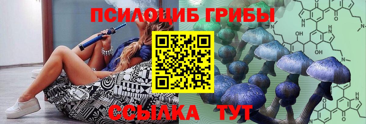 Псилоцибиновые грибы мицелий Сургут
