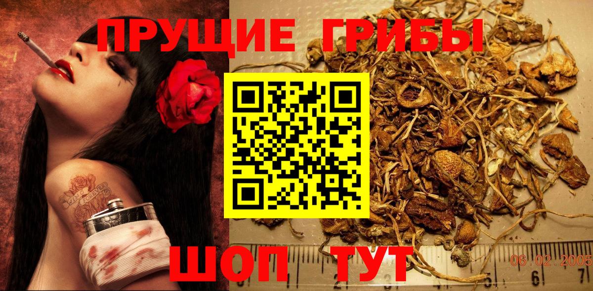 Галлюциногенные грибы мицелий  Галлюциногенные грибы Magic Shrooms  Вход с VPN  Сургут 